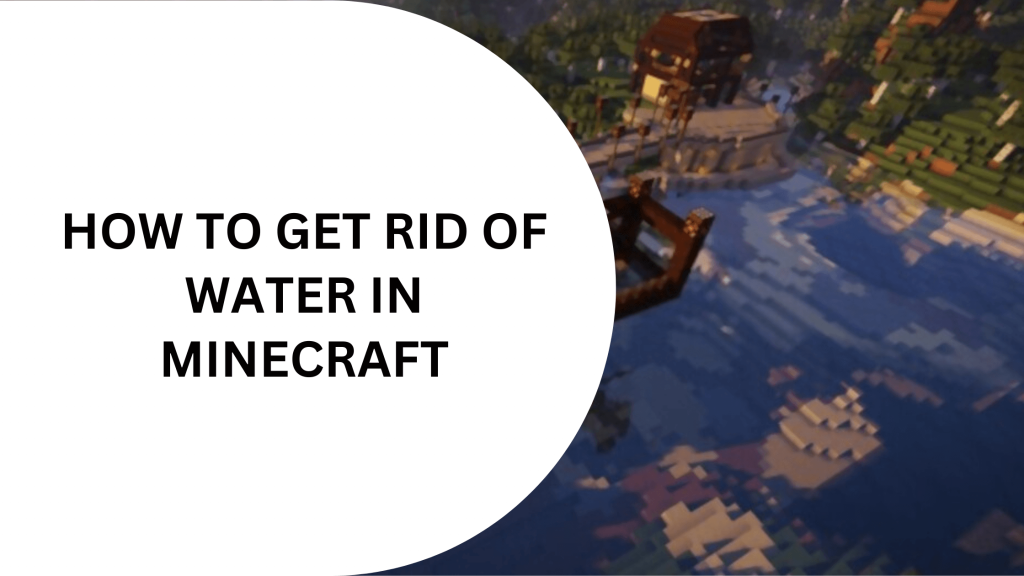 Get Rid of Water in Minecraft